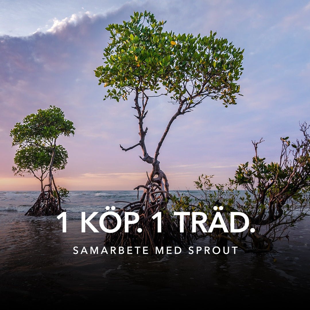 Plantera ett träd för varje köp du gör | Mobilskal inspiration från Roar Sweden