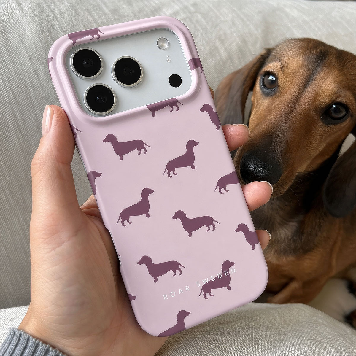Pink Dachshund – ohut suojakuori – Kohde 25/25